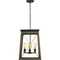 Progress Lighting Briarwood Collection Four-Light Foyer P500178-020 - alternate 6